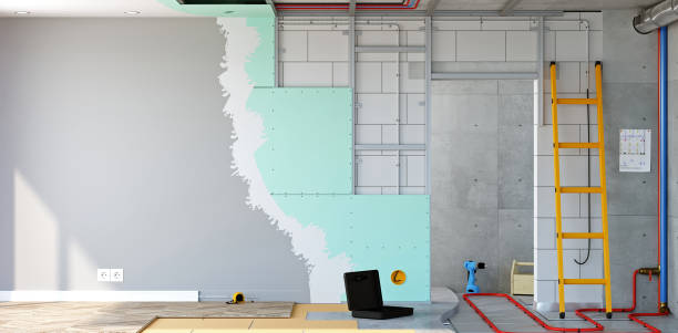 Best Attic Mold Removal  in Northlake, SC