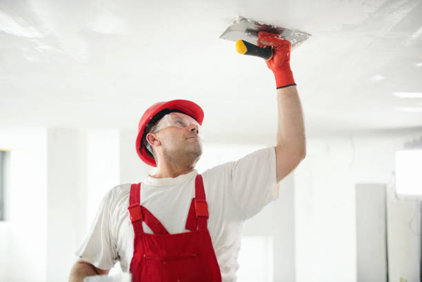  Northlake, SC Mold Removal Pros